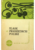 Śląsk w pradziejach Polski