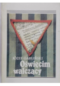Oświęcim walczący