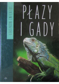 Leksykon Zwierząt Płazy i Gady