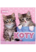 Kalendarz 2022 Ścienny Koty ARTSEZON