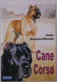 Cane Corso