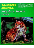 Tajemnice zwierząt Sekrety małych ssaków