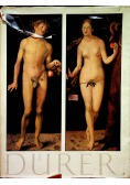 Durer