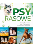Psy Rasowe
