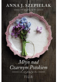 Młyn nad Czarnym Potokiem