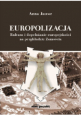 Europolizacja