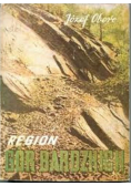 Regiony gór bardzkich