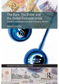 The Euro, The Dollar and the Global Financial Crisis