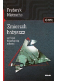 Zmierzch bożyszcz
