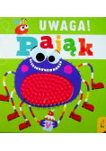 Uwaga pająk