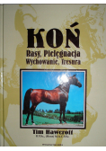 Koń Rasy pielęgnacja wychowanie tresura