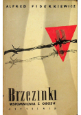 Brzezinki wspomnienia z obozu