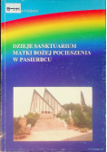 Dzieje sanktuarium Matki Bożej Pocieszenia w Pasierbcu