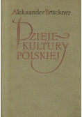 Dzieje kultury polskiej tom 3