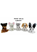 Pies z głosem 20cm MIX