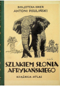 Szlakiem słonia afrykańskiego 1927 r.