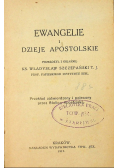 Nowy Testament Ewangelie i Dzieje apostolskie