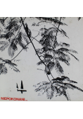 Niepokonani