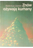 Znów ożywają kurhany