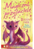 Magiczni przyjaciele Burzowy smok