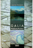 Galia Przedalpejska