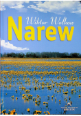 Narew