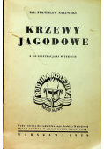 Krzewy jagodowe 1939 r