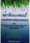 Między ewolucją a rewolucją w poszukiwaniu strategii energetycznej Tom II