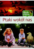 Ptaki wokół nas Młody obserwator przyrody