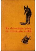 Za dziewiątą górą za dziewiątą rzeką