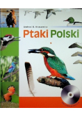 Ptaki Polski