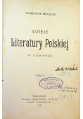 Dzieje literatury polskiej w zarysie Tom I 1903 r.