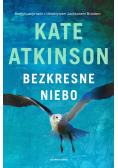 Bezkresne niebo