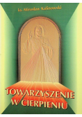 Towarzyszenie w cierpieniu