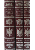 Polska Jej dzieje i kultura czasów najdawniejszych do chwili obecnej Tom 1 do 3