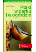 Ptaki w parku w ogrodzie