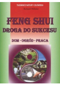 Feng Shui Droga do sukcesu