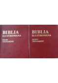 Biblia Ilustrowana Stary Testament i Nowy Testament
