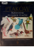 Ilustrowana encyklopedia ptaków Przewodnik po świecie ptaków