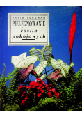 Pielęgnowanie roślin pokojowych