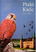 Ptaki Kielc