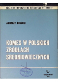 Komes w polskich źródłach średniowiecznych