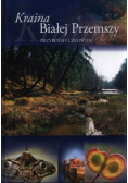Kraina Białej Przemszy