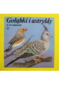 Gołąbki i astryldy