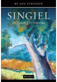 Singiel szczęście czy porażka