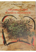 Miłosierdzie Boże w Starym Testamencie