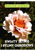Kwiaty letnie i byliny ogrodowe