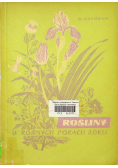Rośliny w różnych porach roku