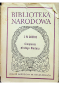 Cierpienia młodego Wertera