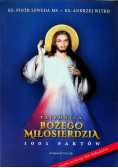 Tajemnica Bożego Miłosierdzia